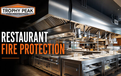 Why Fire Suppression Systems Are Critical for Restaurants